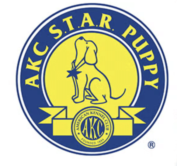 AKC STAR Puppy Program